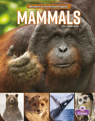 Mamifere - Mammals