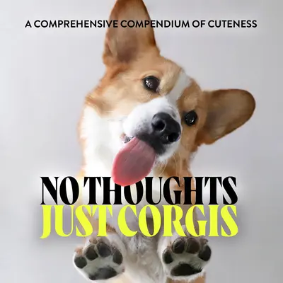 No Thoughts Just Corgis: Un compendiu cuprinzător al drăgălășeniei - No Thoughts Just Corgis: A Comprehensive Compendium of Cuteness