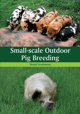 Creșterea la scară mică a porcilor în aer liber - Small-scale Outdoor Pig Breeding