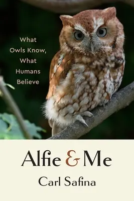 Alfie și cu mine: Ce știu bufnițele, ce cred oamenii - Alfie and Me: What Owls Know, What Humans Believe