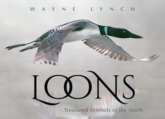 Loons: Simboluri prețioase ale Nordului - Loons: Treasured Symbols of the North