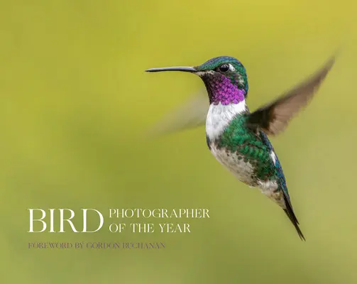 Fotograful de păsări al anului - Bird Photographer of the Year