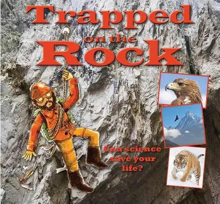 Prins pe stâncă - Trapped on the Rock