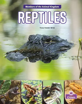 Reptile - Reptiles