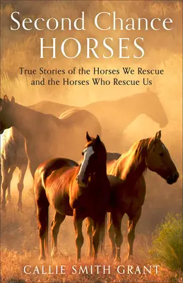Second-Chance Horses: True Stories of the Horses We Rescue and the Horses Who Rescue Us (Povești adevărate despre caii pe care îi salvăm și caii care ne salvează) - Second-Chance Horses: True Stories of the Horses We Rescue and the Horses Who Rescue Us