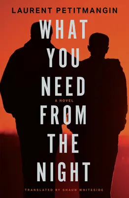 Ce ai nevoie de la noapte - What You Need from the Night
