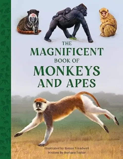 Magnifica carte a maimuțelor și maimuțelor - Magnificent Book of Monkeys and Apes