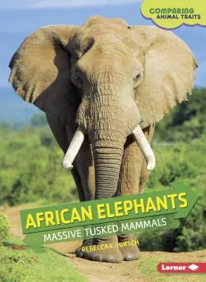 Elefanți africani: Mamifere masive cu burtă - African Elephants: Massive Tusked Mammals