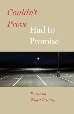 N-am putut dovedi, a trebuit să promit - Couldn't Prove, Had to Promise
