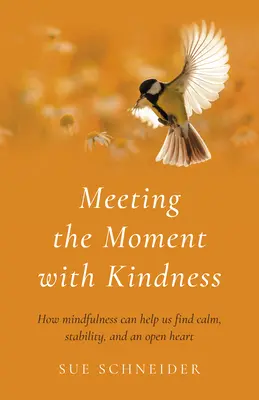 Întâlnirea momentului cu bunătate: Cum poate Mindfulness să ne ajute să găsim calmul, stabilitatea și o inimă deschisă - Meeting the Moment with Kindness: How Mindfulness Can Help Us Find Calm, Stability, and an Open Heart