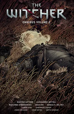The Witcher Omnibus Volumul 2 - The Witcher Omnibus Volume 2