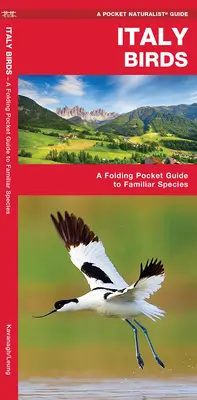 Păsările din Italia - Un ghid de buzunar pliabil pentru specii familiare - Italy Birds - A Folding Pocket Guide to Familiar Species