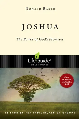 Iosua: Puterea promisiunilor lui Dumnezeu - Joshua: The Power of God's Promise