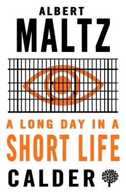 O zi lungă într-o viață scurtă - A Long Day in a Short Life