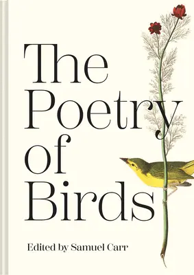Poezia păsărilor - The Poetry of Birds - The Poetry of Birds