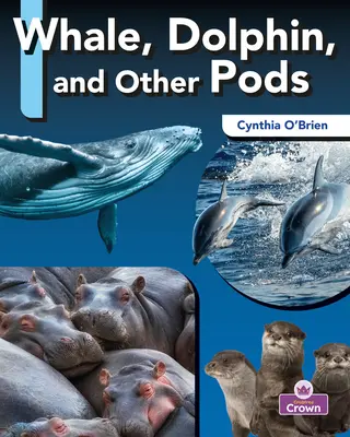 Balena, delfinul și alte turme - Whale, Dolphin, and Other Pods