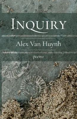 Anchetă - Inquiry