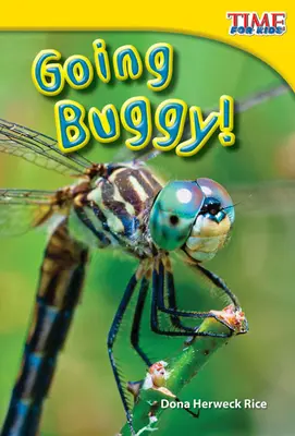 Mergem cu insectele! - Going Buggy!