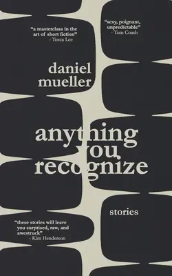 Anything You Recognize: Povestiri - Anything You Recognize: Stories