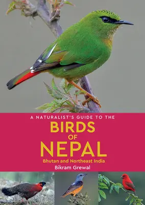 Ghidul naturalist al păsărilor din Nepal (A Naturalist's Guide to the Birds of Nepal) - A Naturalist's Guide to the Birds of Nepal