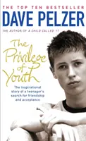 Privilegiul tinereții - Povestea inspirată a căutării prieteniei și acceptării de către o adolescentă - Privilege of Youth - The Inspirational Story of a Teenager's Search for Friendship and Acceptance