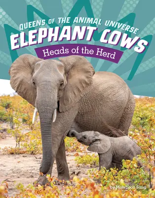 Vacile-elefant: Capete de turmă - Elephant Cows: Heads of the Herd