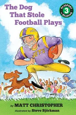Câinele care a furat meciurile de fotbal - The Dog That Stole Football Plays