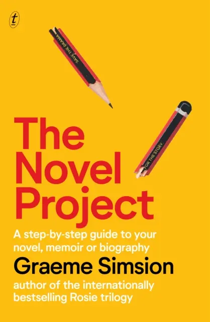 Proiect de roman - Novel Project
