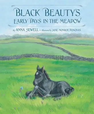 Primele zile ale lui Black Beauty pe pajiște - Black Beauty's Early Days in the Meadow