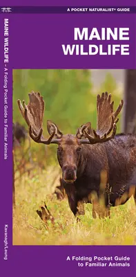 Maine Wildlife: Un ghid de buzunar pliabil pentru specii familiare - Maine Wildlife: A Folding Pocket Guide to Familiar Species