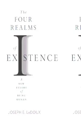 Cele patru tărâmuri ale existenței: O nouă teorie a ființei umane - The Four Realms of Existence: A New Theory of Being Human