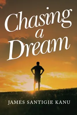 CHASING A DREAM Călătorie în Europa și la Națiunile Unite - CHASING A DREAM Journey to Europe and the United Nations