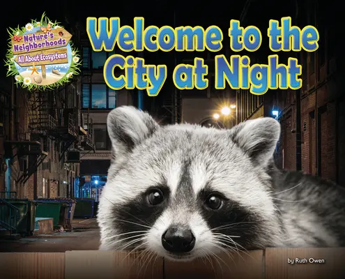 Bine ați venit la oraș noaptea - Welcome to the City at Night