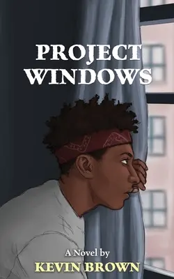 Ferestre de proiect - Project Windows