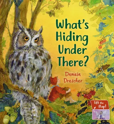 Ce se ascunde acolo dedesubt? A Magical Lift-The-Flap Book - What's Hiding Under There?: A Magical Lift-The-Flap Book