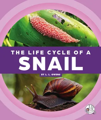 Ciclul de viață al unui melc - The Life Cycle of a Snail