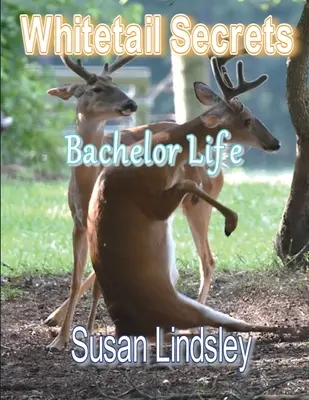 Secretele Whitetail: Viața de burlac - Whitetail Secrets: Bachelor Life