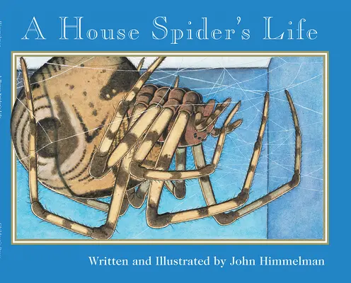 Viața unui păianjen de casă (Nature Upclose) - A House Spider's Life (Nature Upclose)