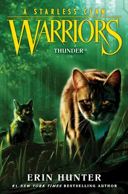 Războinici: Un clan fără stele #4: Thunder - Warriors: A Starless Clan #4: Thunder