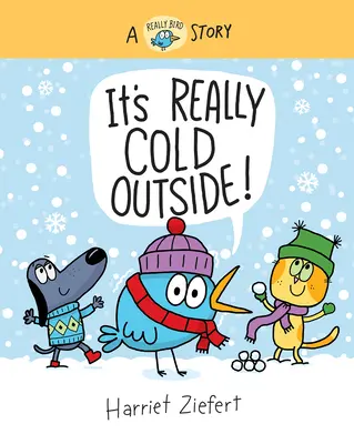 E foarte frig afară: O poveste cu adevărat păsărească - It's Really Cold Outside: A Really Bird Story