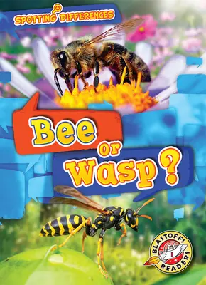 Albină sau viespe? - Bee or Wasp?