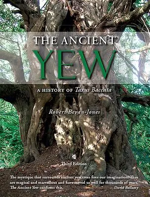 Ancient Yew - O istorie a Taxus Baccata - Ancient Yew - A History of Taxus Baccata