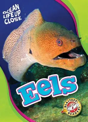 Anghilele - Eels