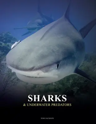 Rechini și prădători subacvatici - Sharks & Underwater Predators