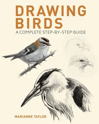 Desenarea păsărilor: Un ghid complet pas cu pas - Drawing Birds: A Complete Step-By-Step Guide