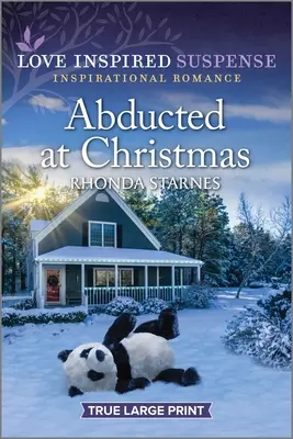 Răpit de Crăciun - Abducted at Christmas