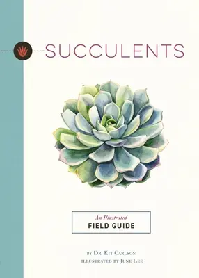 Succulente: Un ghid de teren ilustrat - Succulents: An Illustrated Field Guide