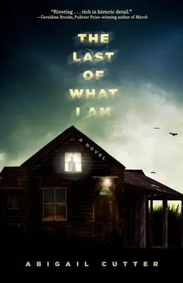 Ultimul din ceea ce sunt - The Last of What I Am