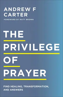 Privilegiul rugăciunii: Găsiți vindecare, transformare și răspunsuri - The Privilege of Prayer: Find Healing, Transformation, and Answers