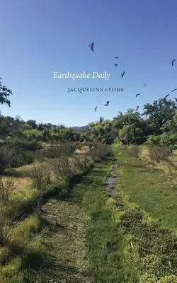 Cutremur zilnic - Earthquake Daily